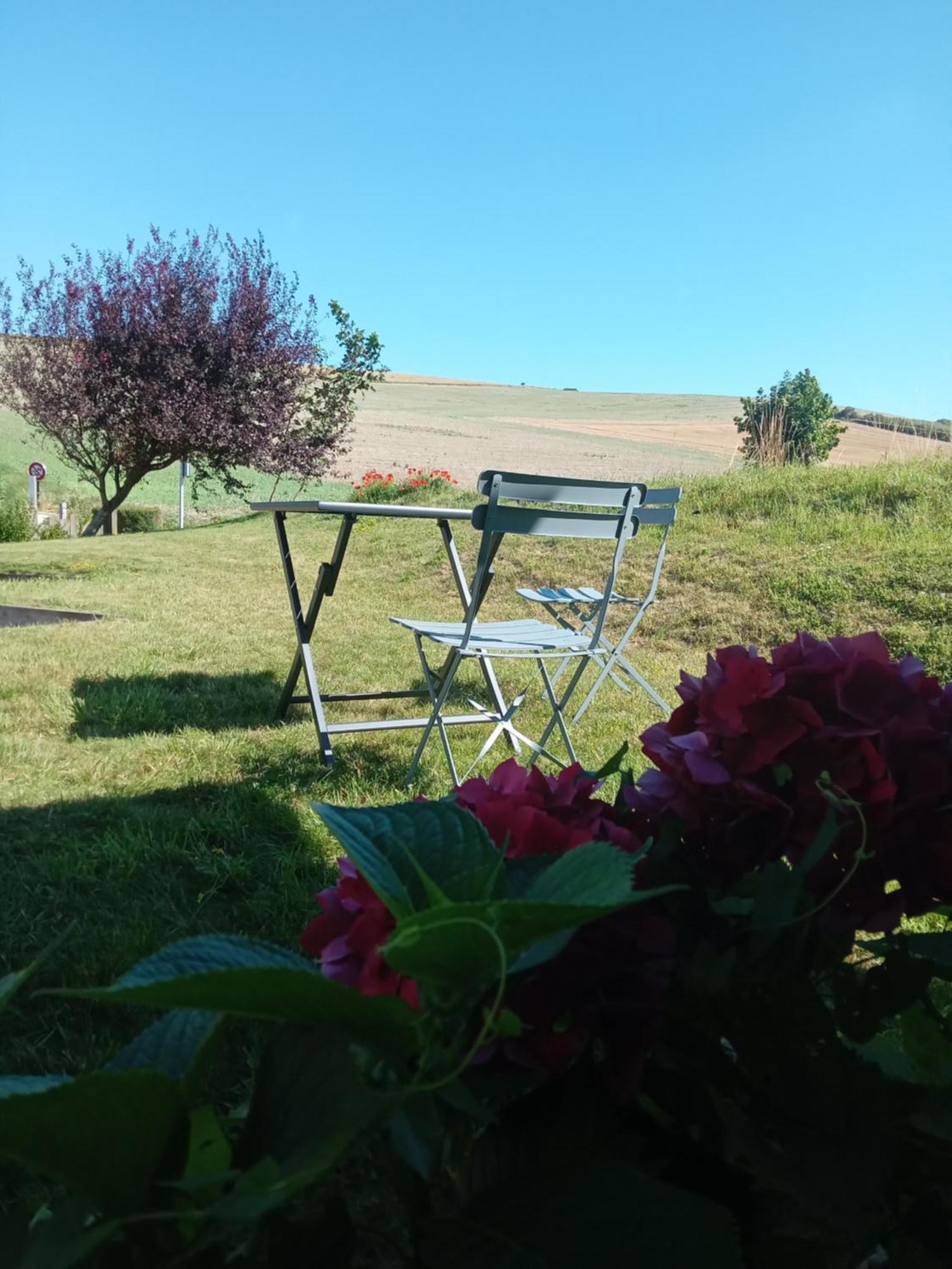 Les Balcons Du Cap Bed & Breakfast Escalles Eksteriør bilde